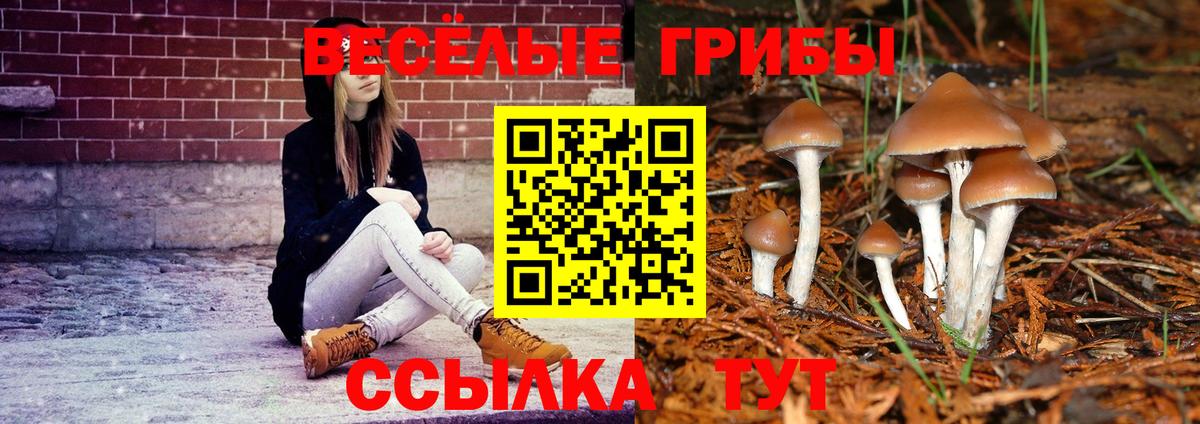 Галлюциногенные грибы прущие грибы  Псилоцибиновые грибы прущие грибы  Кыштым  где можно купить   Вход с VPN 